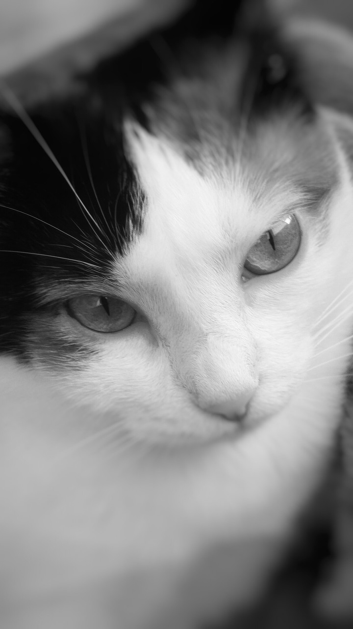 bianco&nero
