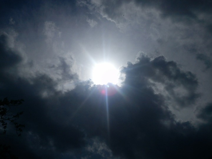 Sunny