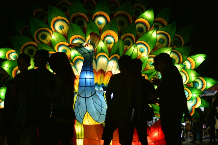 night festival