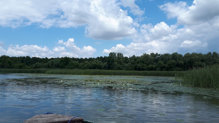 hungary tisza