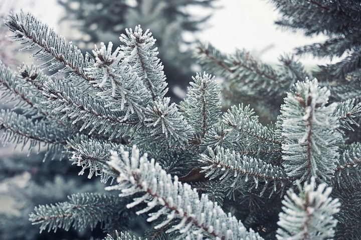 winter