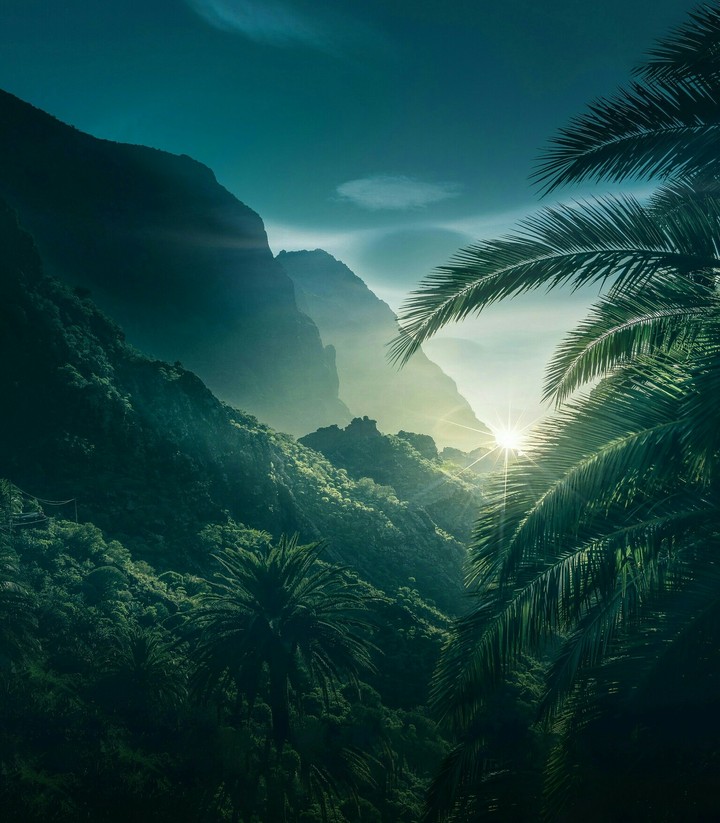 natur