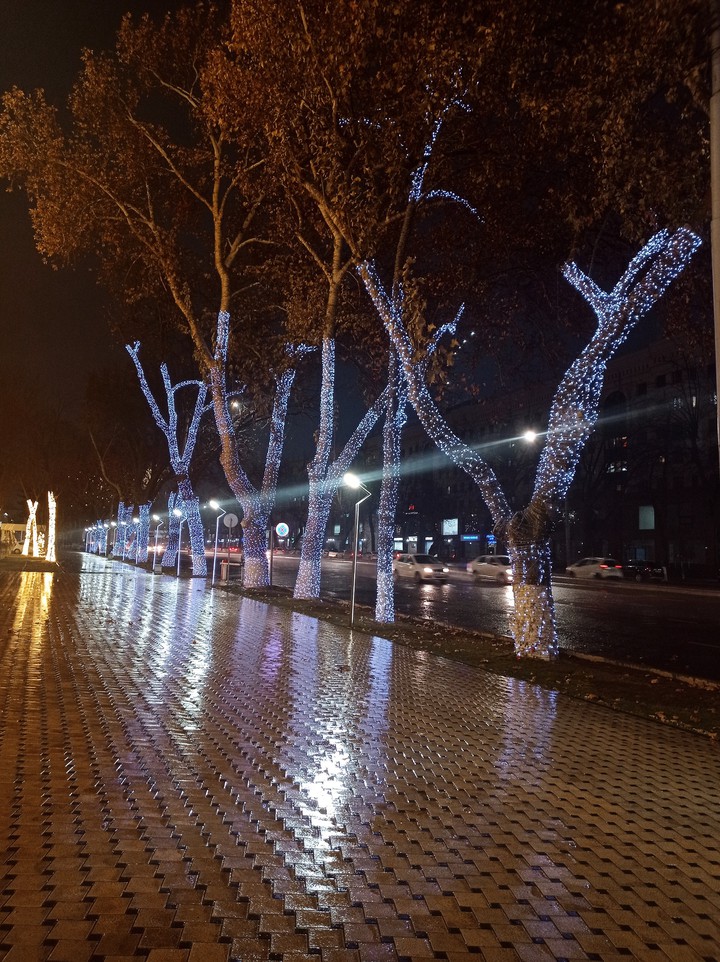 Night lights