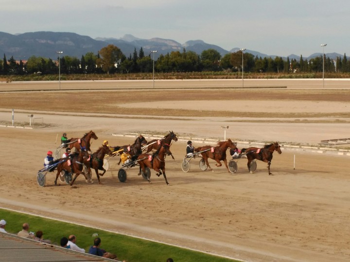 sa carrera sera entretenguda