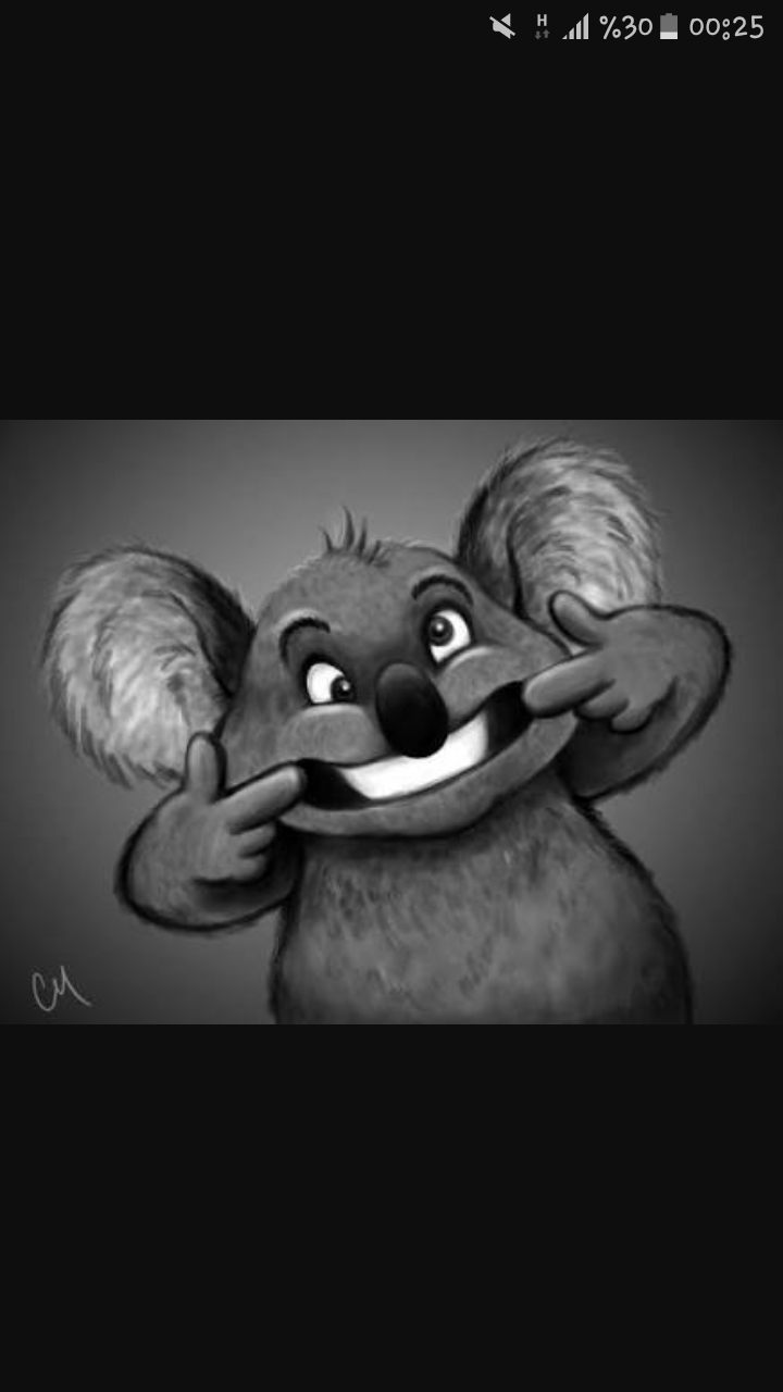 koala