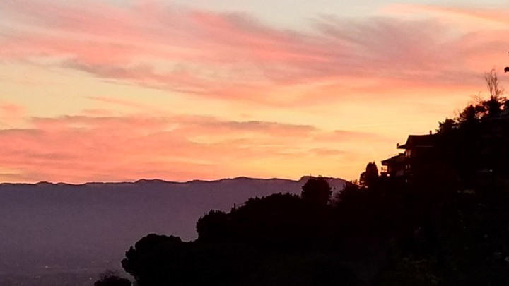 summer's sunrise