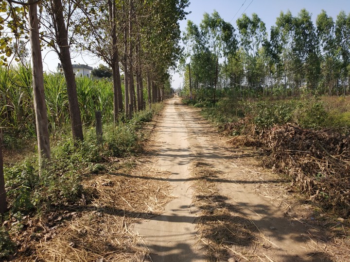 local pathway