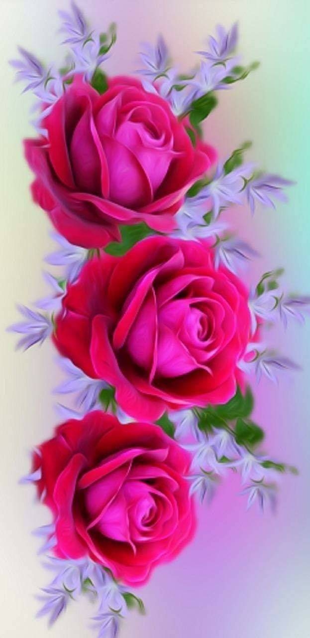 Roze