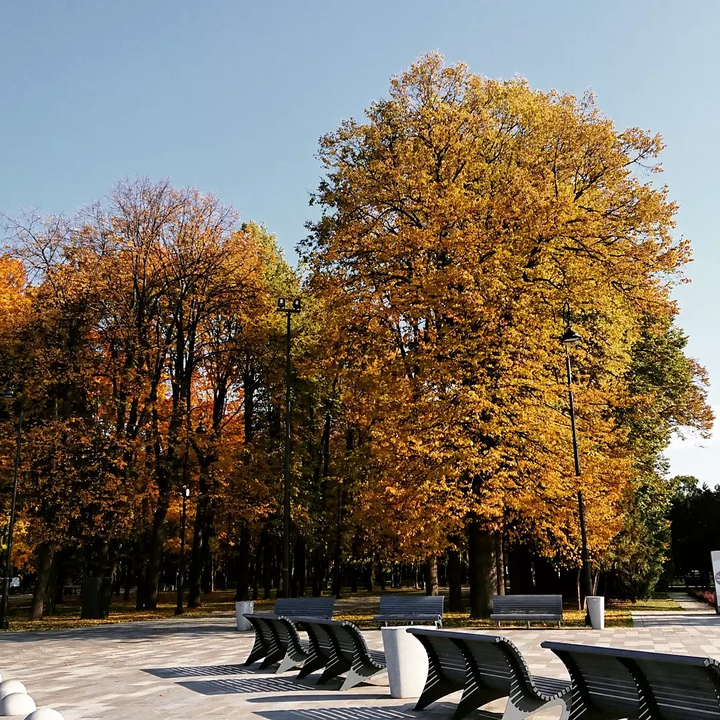 Autumn...