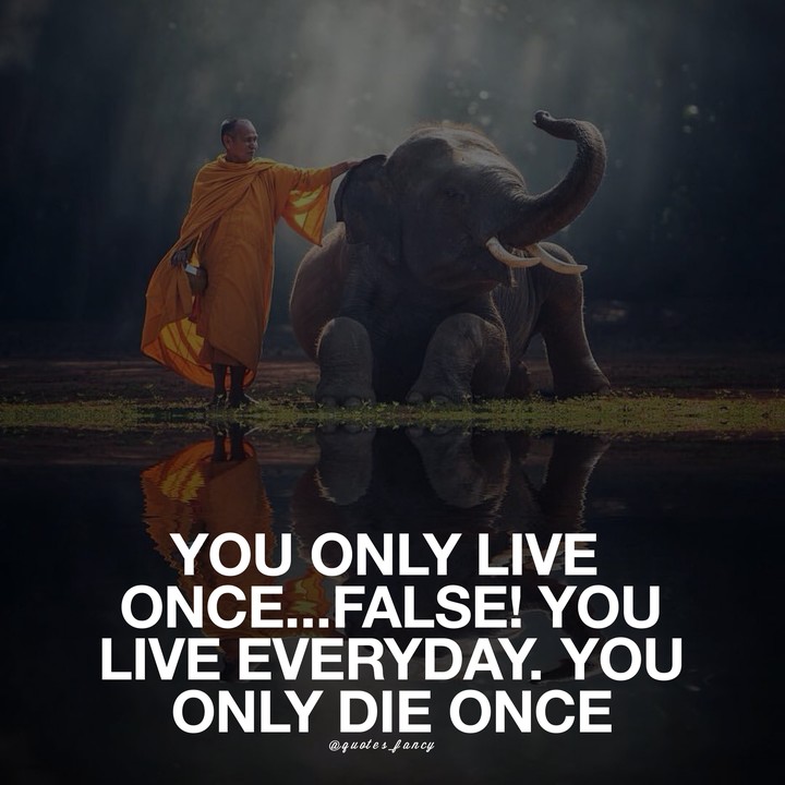 Life Advice