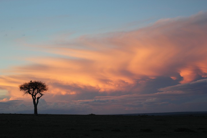 A Masai Mara landscape