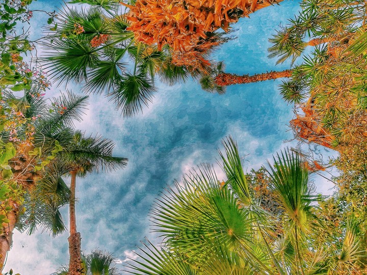 sky