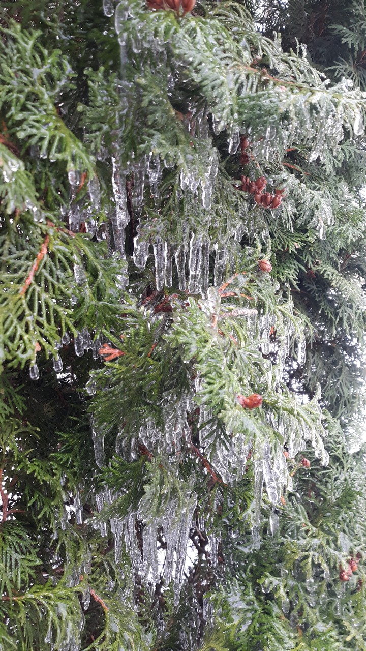 Freeze