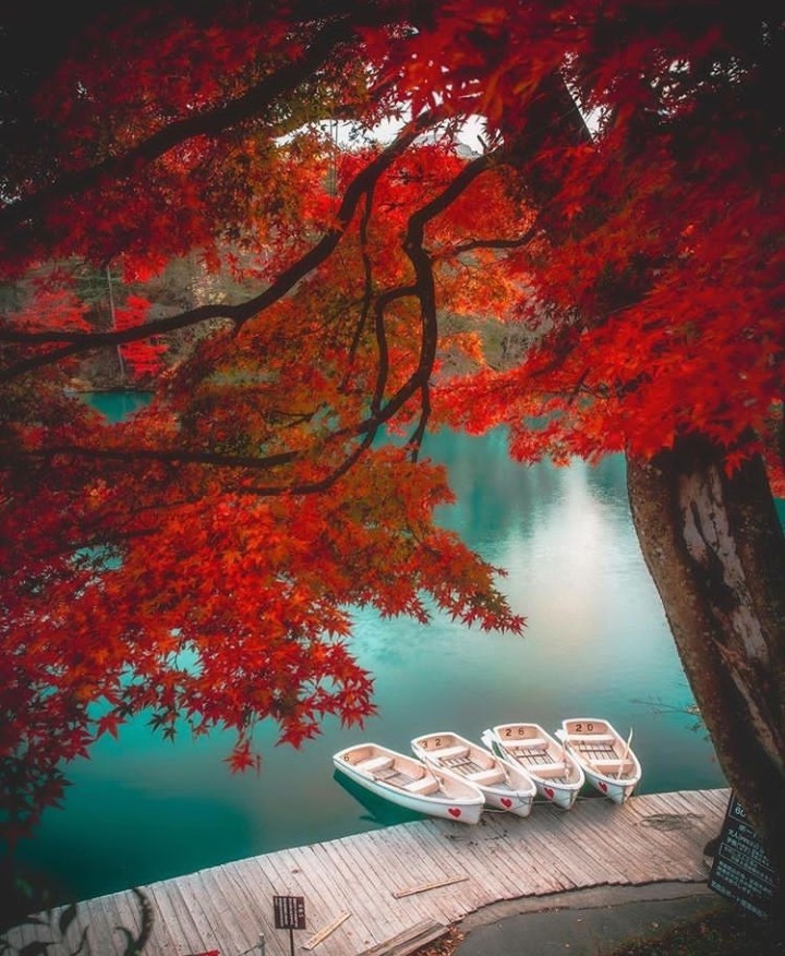 Autumn