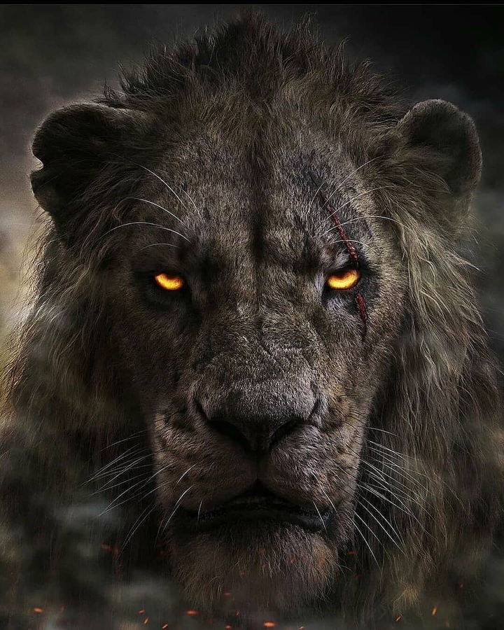 King