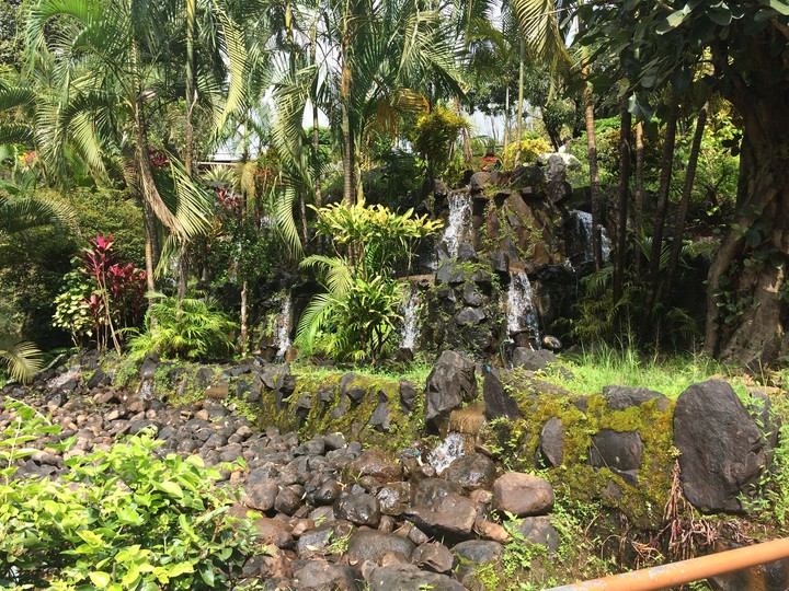 Nature
