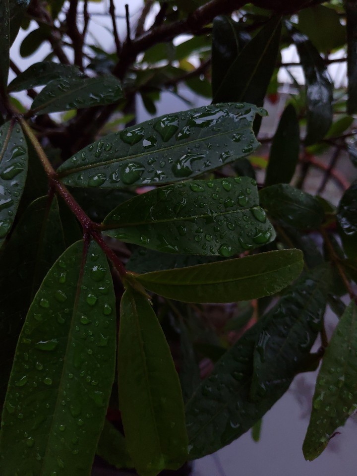 NATURE IS REALLY A BEAUTY
