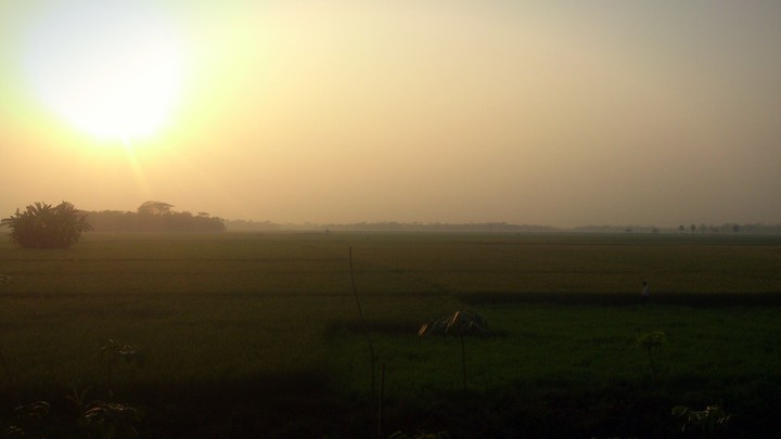 Sunset at Rural Bengal