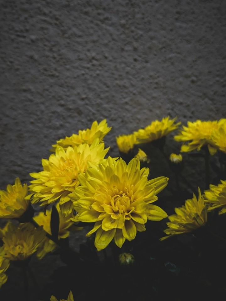 yellow
