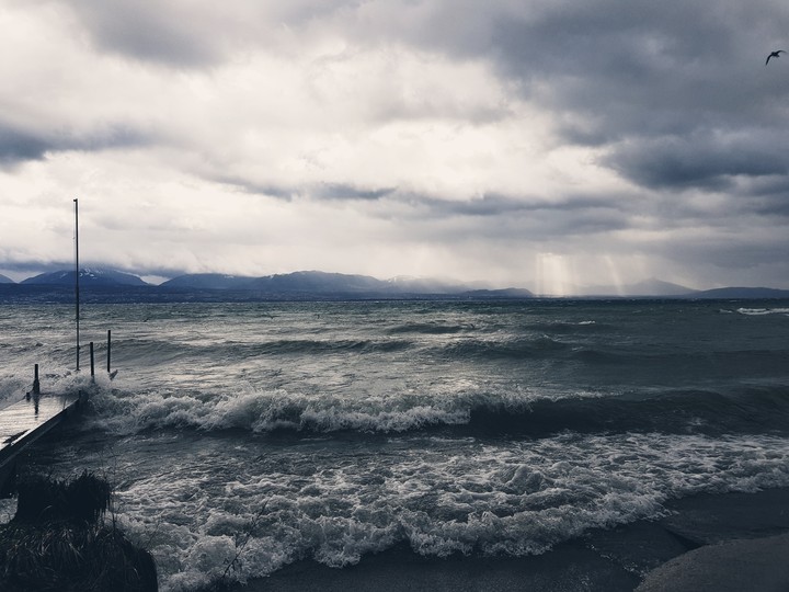 Wild Waves