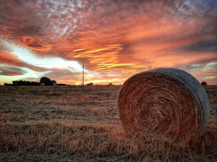 Sunset II