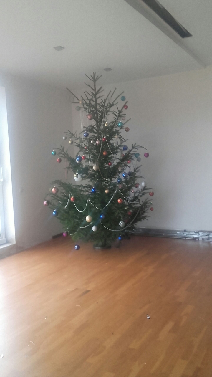 New christmas tree <3