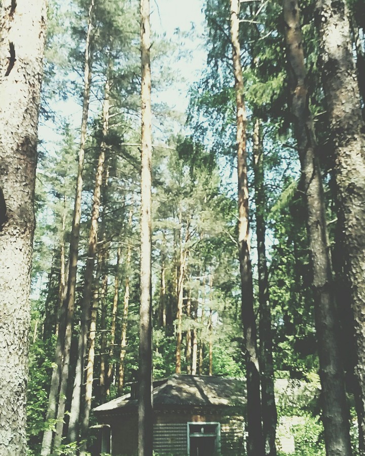 Love.