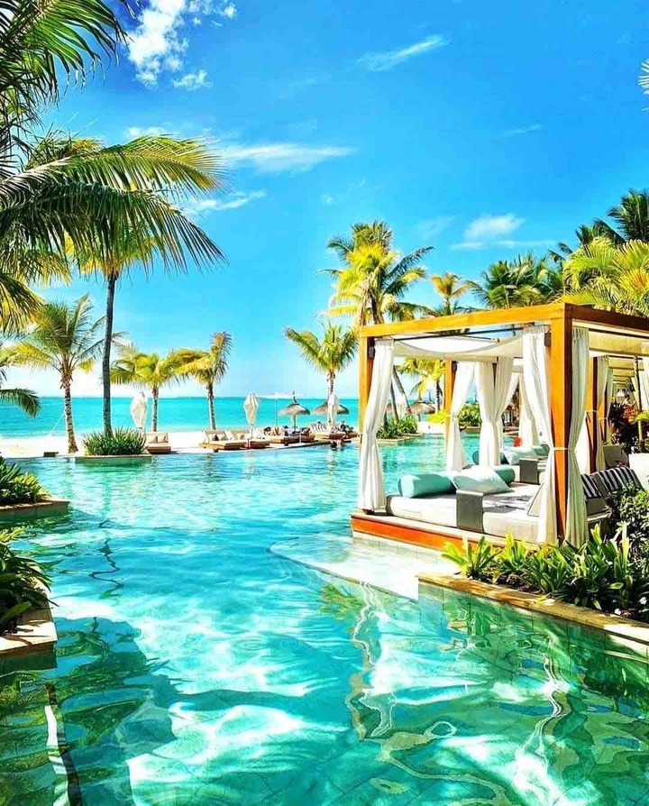 paradise