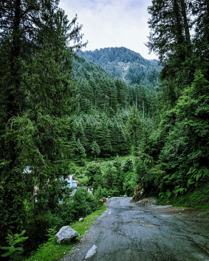 Mcleodganj