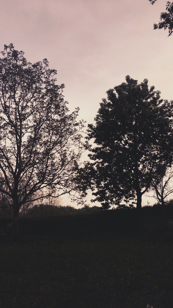 #nature