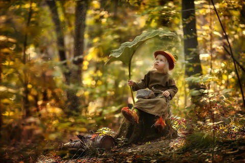 deciduous, farsi वॉलपेपर