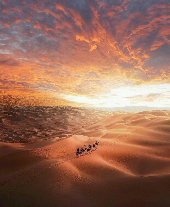 Desert