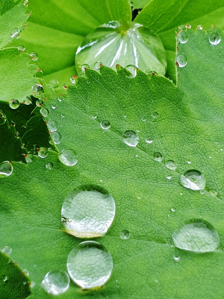waterdrop