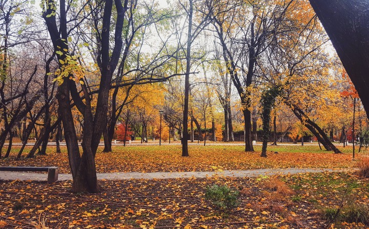 Autumn in park