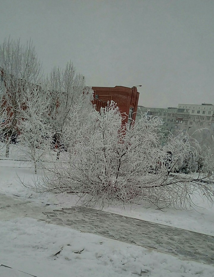 зима
