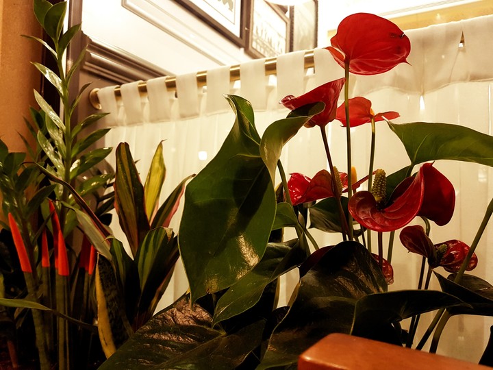 Mini garden