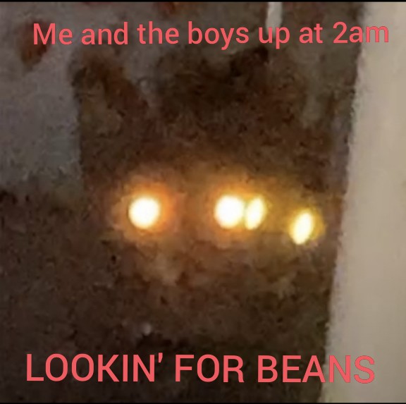 BEANS