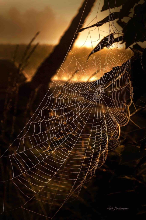 beautiful