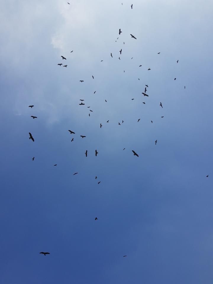 sky