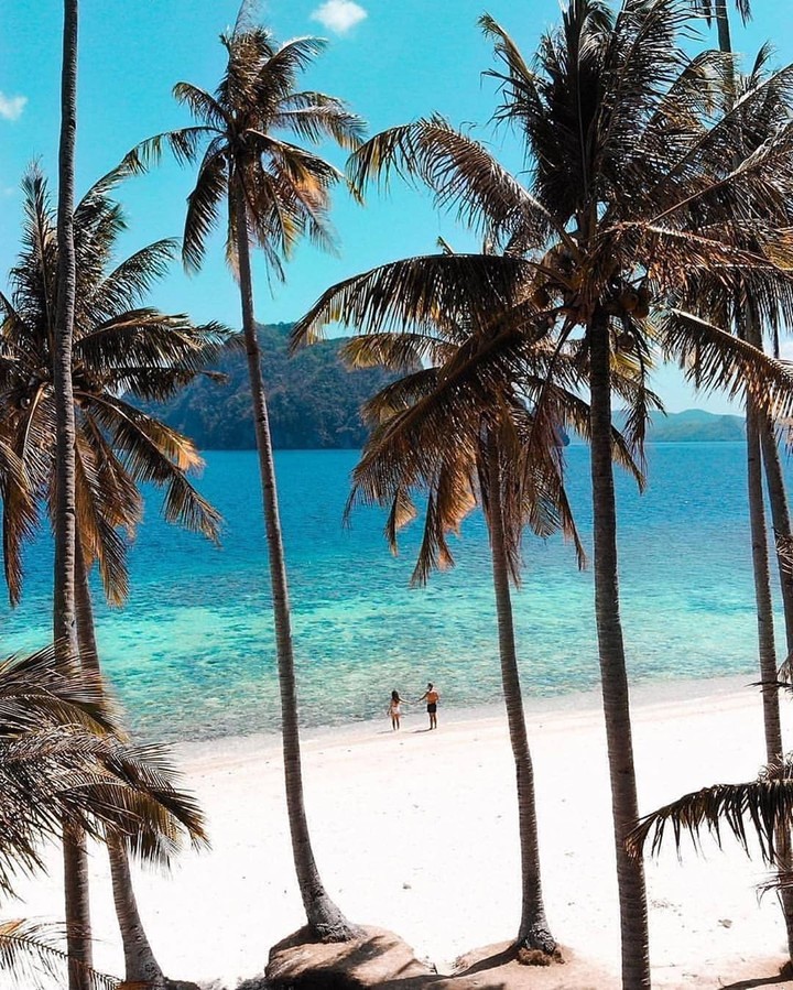 tropical island