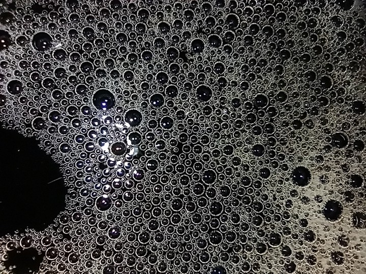 macro shot
