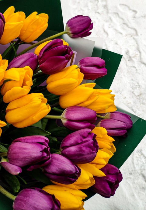 love, spring Hintergrundbilder