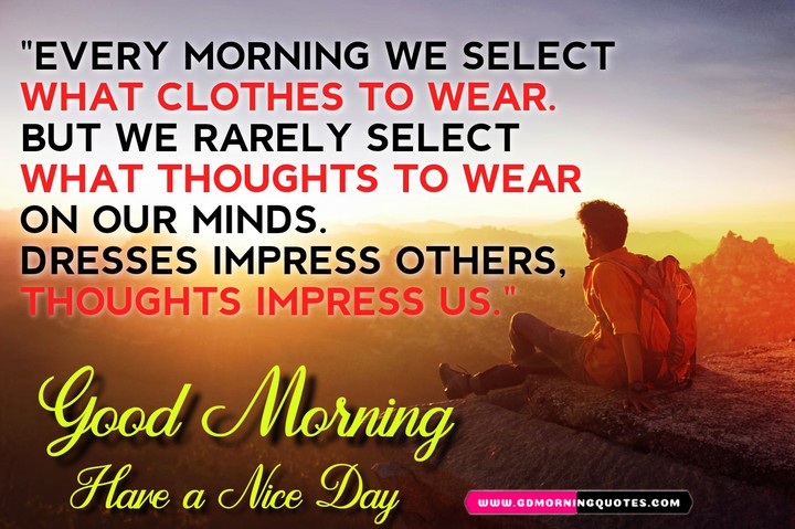 morning,  good morning, nature