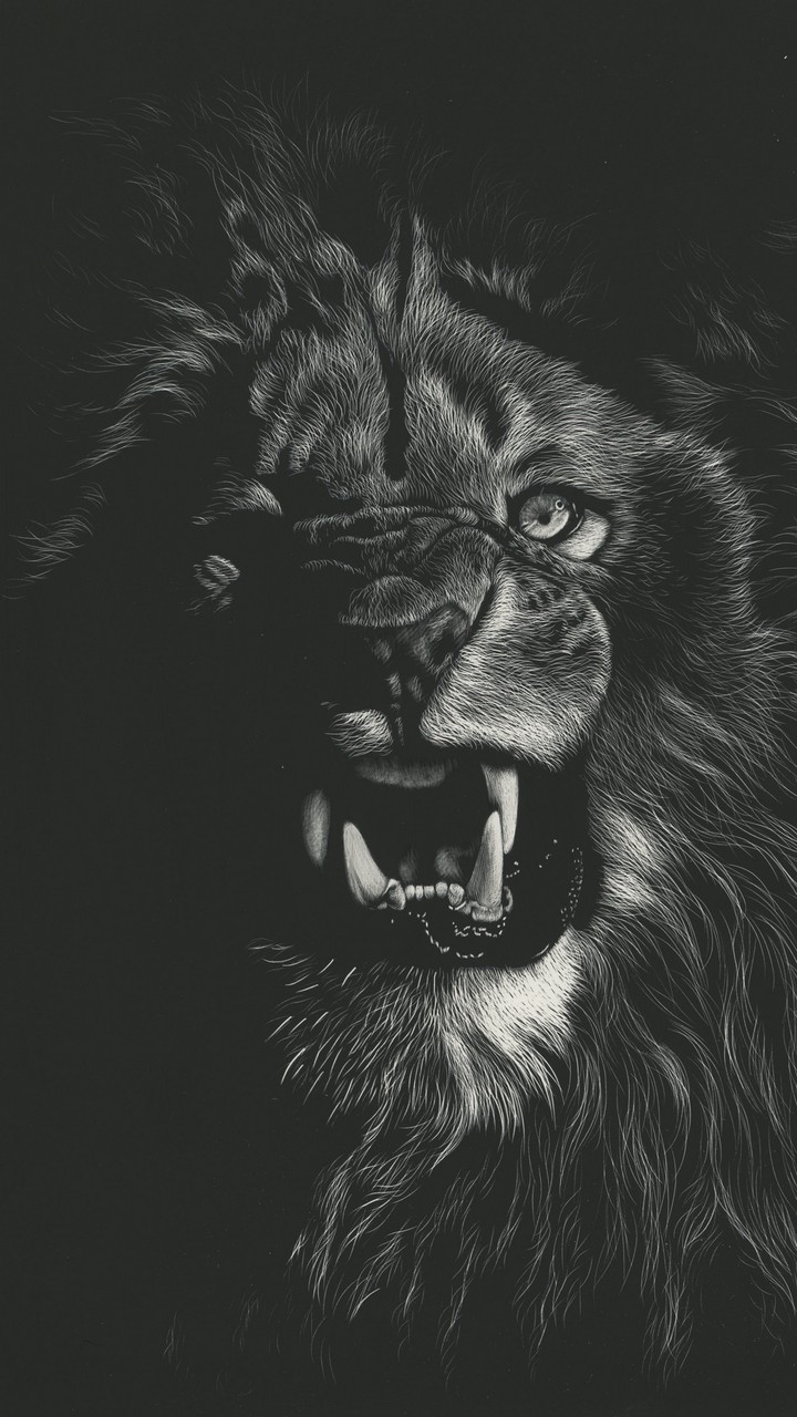 the king