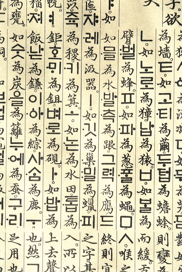 컨셉