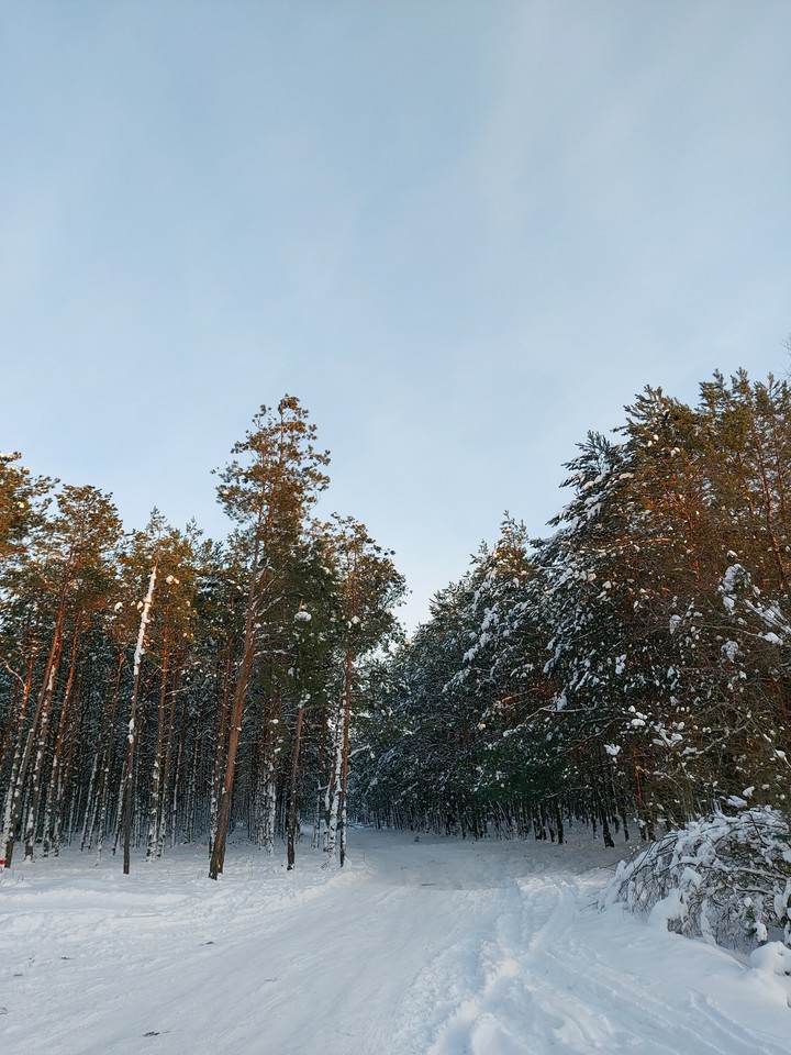 winter