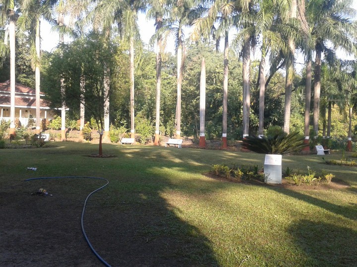 green environment