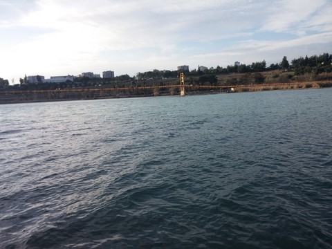 Youth Bridge