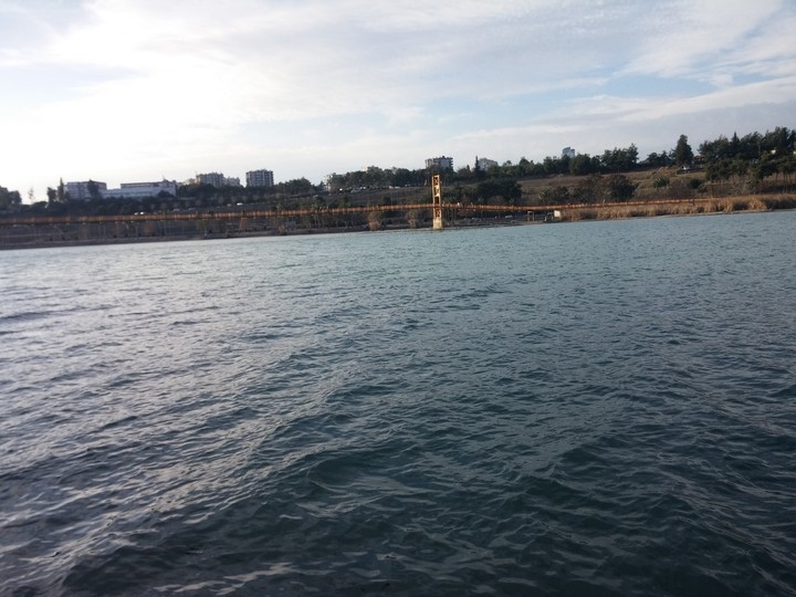 Youth Bridge