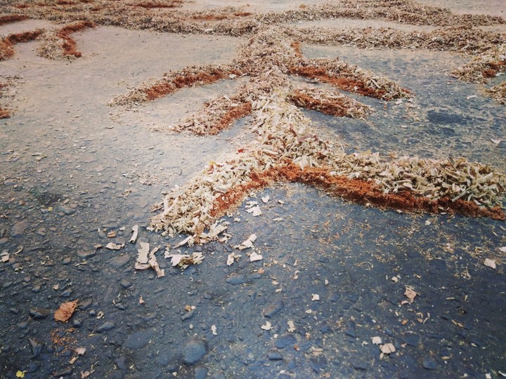 otoño
